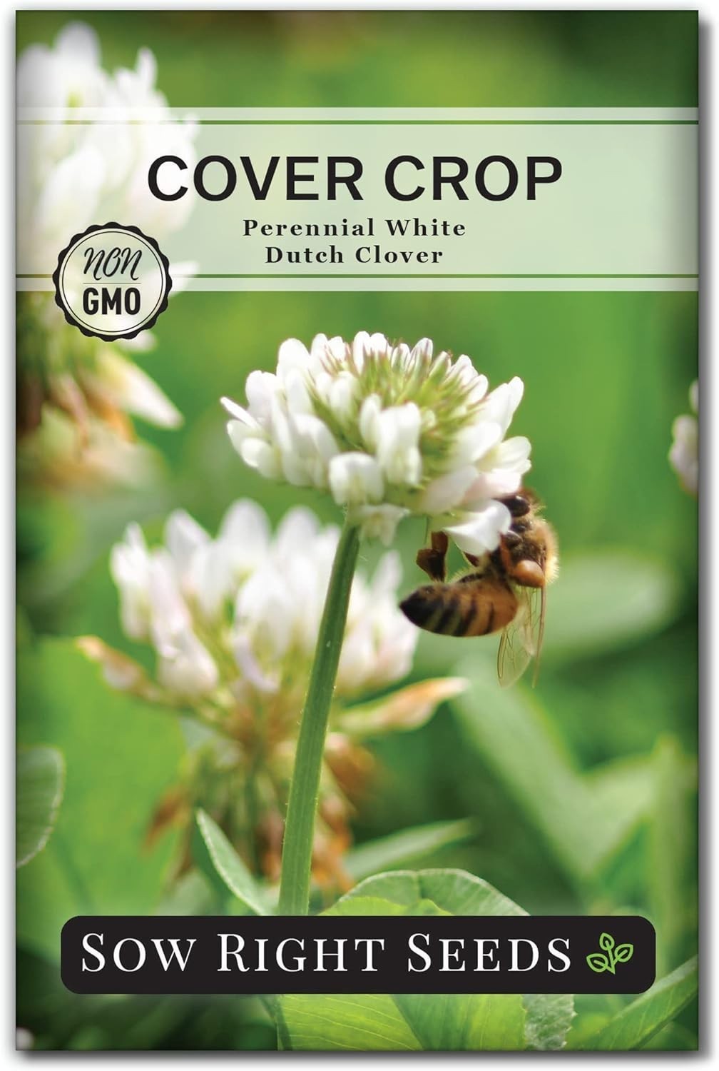 White Dutch Clover Seeds for Soil Health – Non-GMO Heirloom Gardening