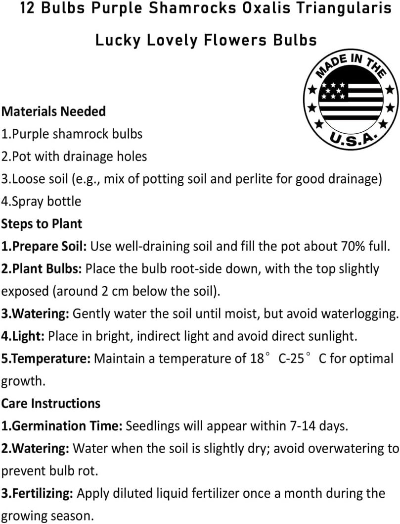 12+ Healthy Purple Shamrock Bulbs for Effortless Indoor & Outdoor Gardening