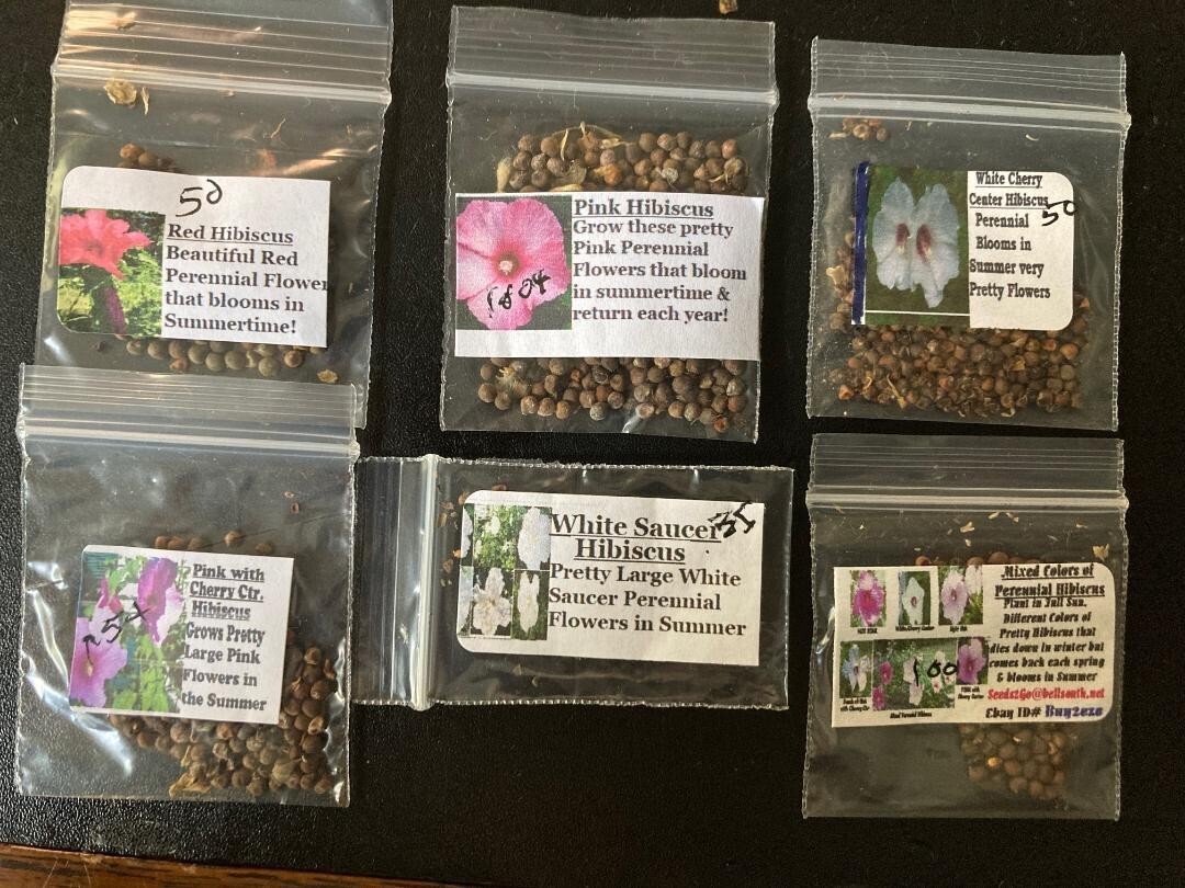 400 + 6 Different True Perennial Hibiscus RED/WHITE/PINKS/MIXED SEEDS ETC., #21