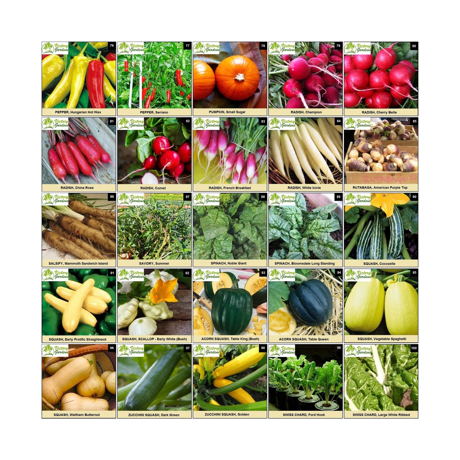 Garden Seeds Vegetable Variety Pack for Planting – Grow 125 Varieties of Heir…