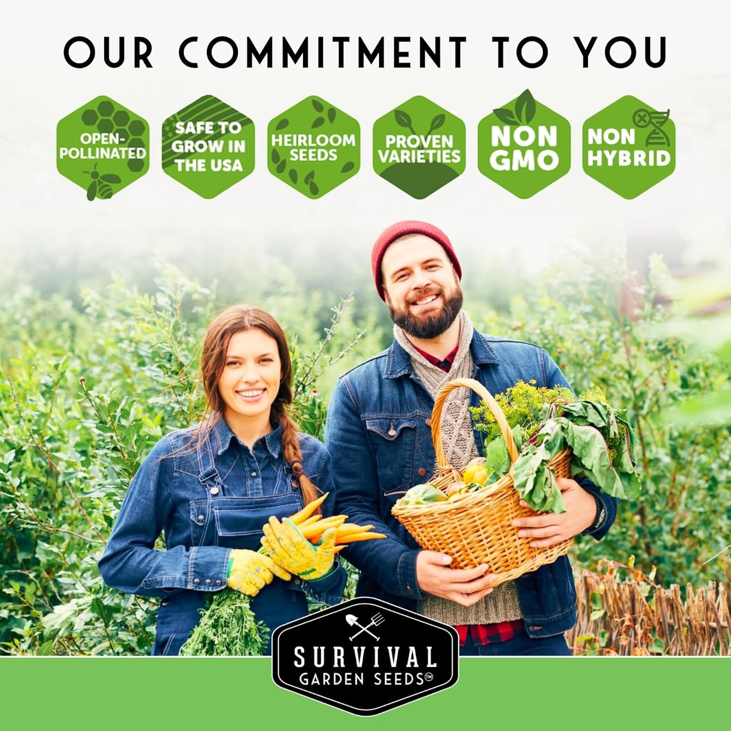 Brussels Sprouts Seeds Variety Pack – Heirloom Cool Season Vegetable Seeds