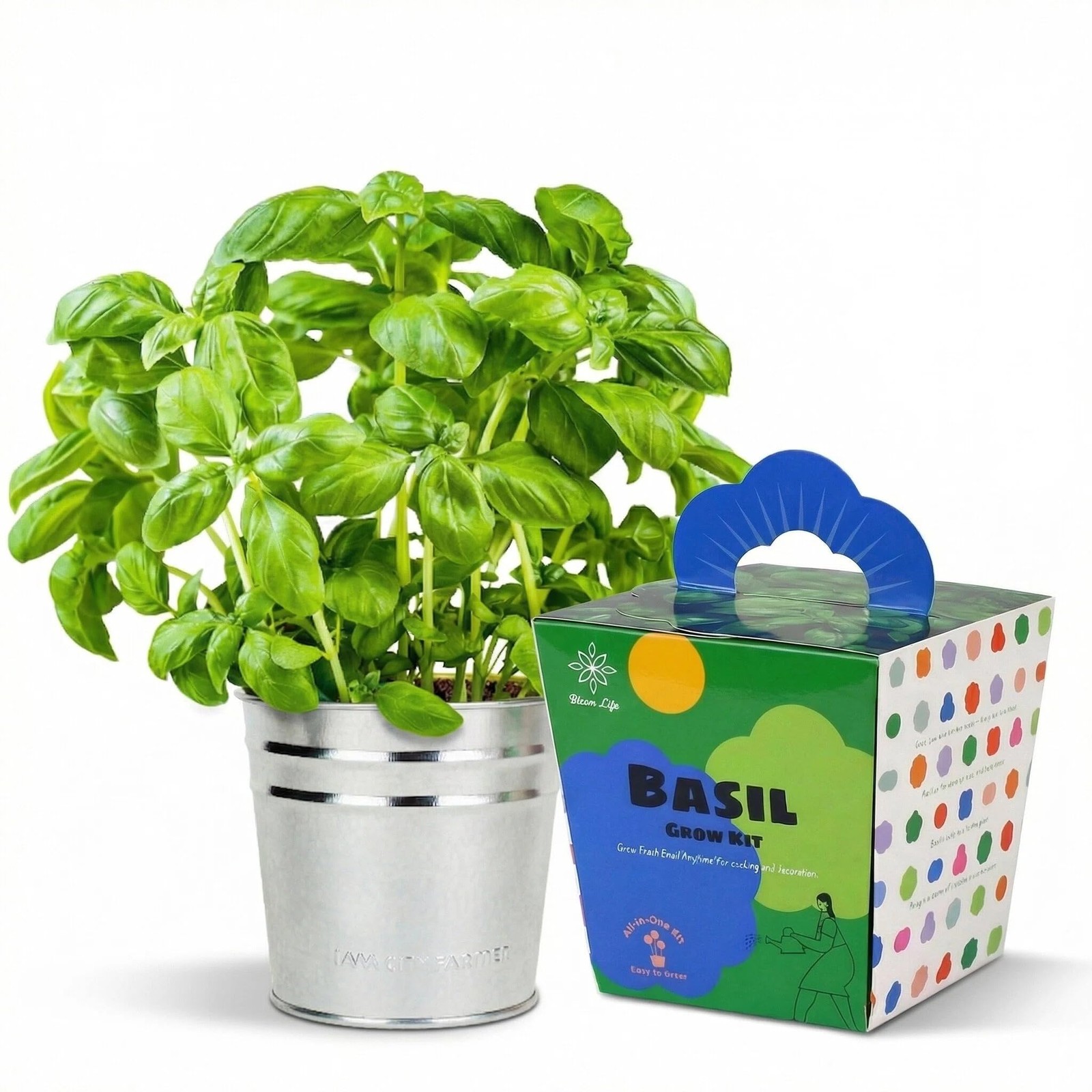 Basil Grow Kit – All-in-One Indoor Herb Garden with Tin Planter, Seeds & Soil…