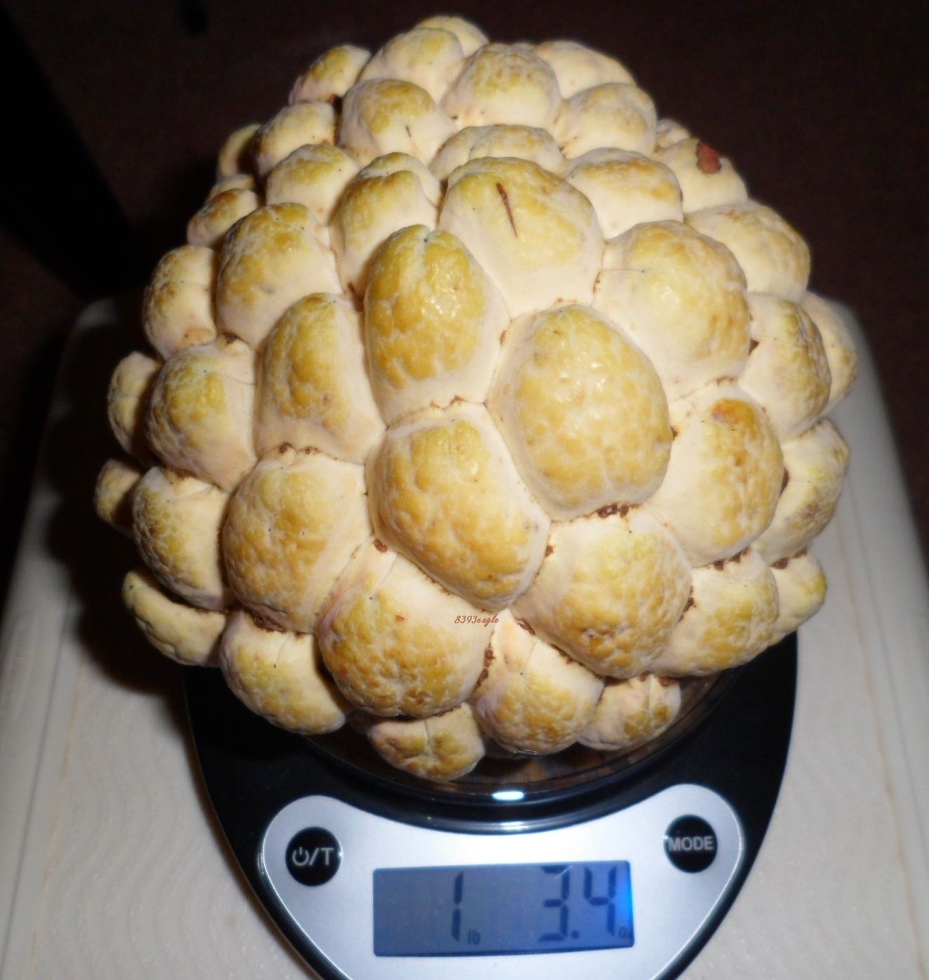 20 Seeds from 2022 Organic Sugar Apple Annona Squamosa Tropical Fruit Plant -U.S