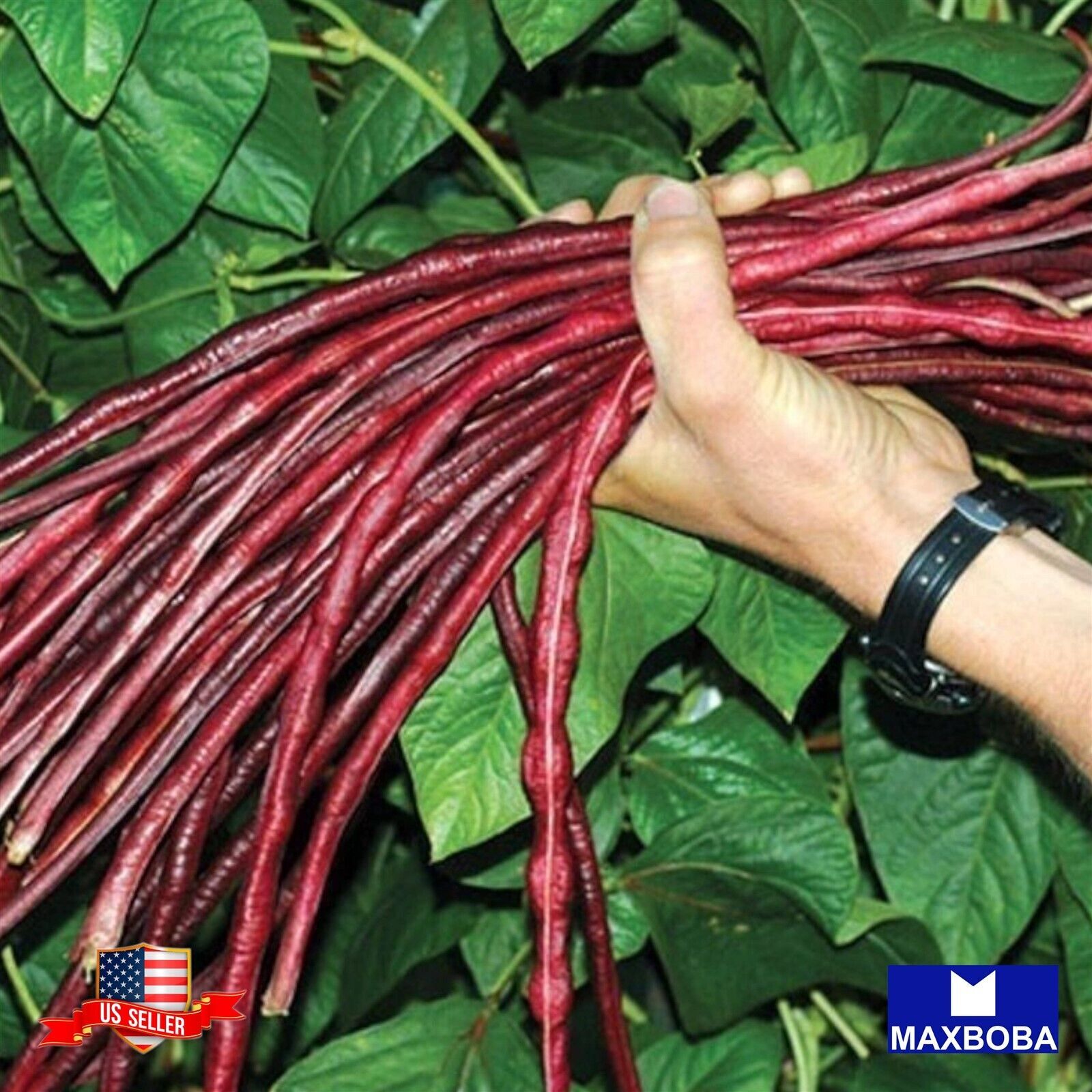 05 Yard Long Bean – Red Noodle Non-GMO Heirloom Garden BOGO 50% OFF