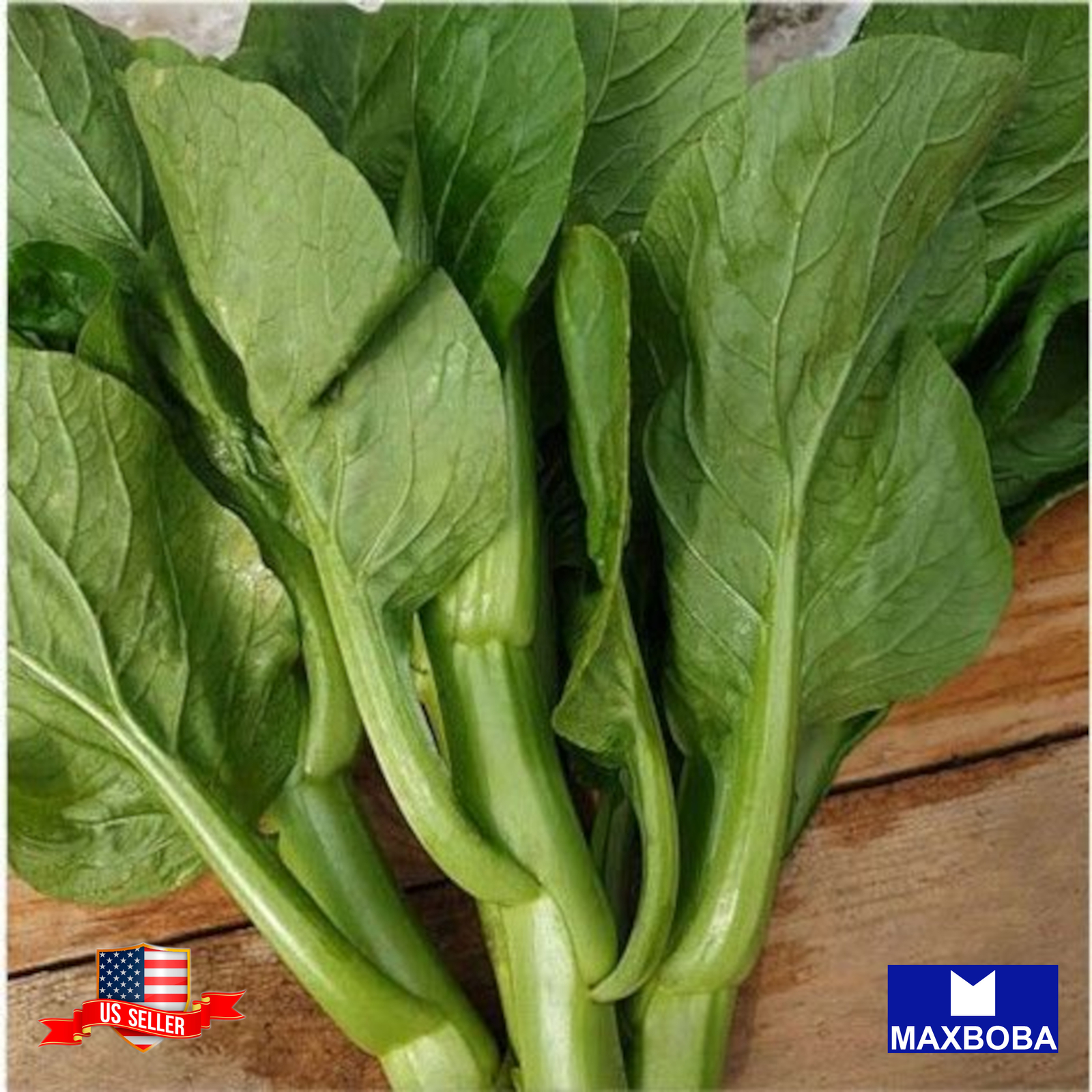 Yu Choy Sum Seeds Jung Green Non-GMO Heirloom