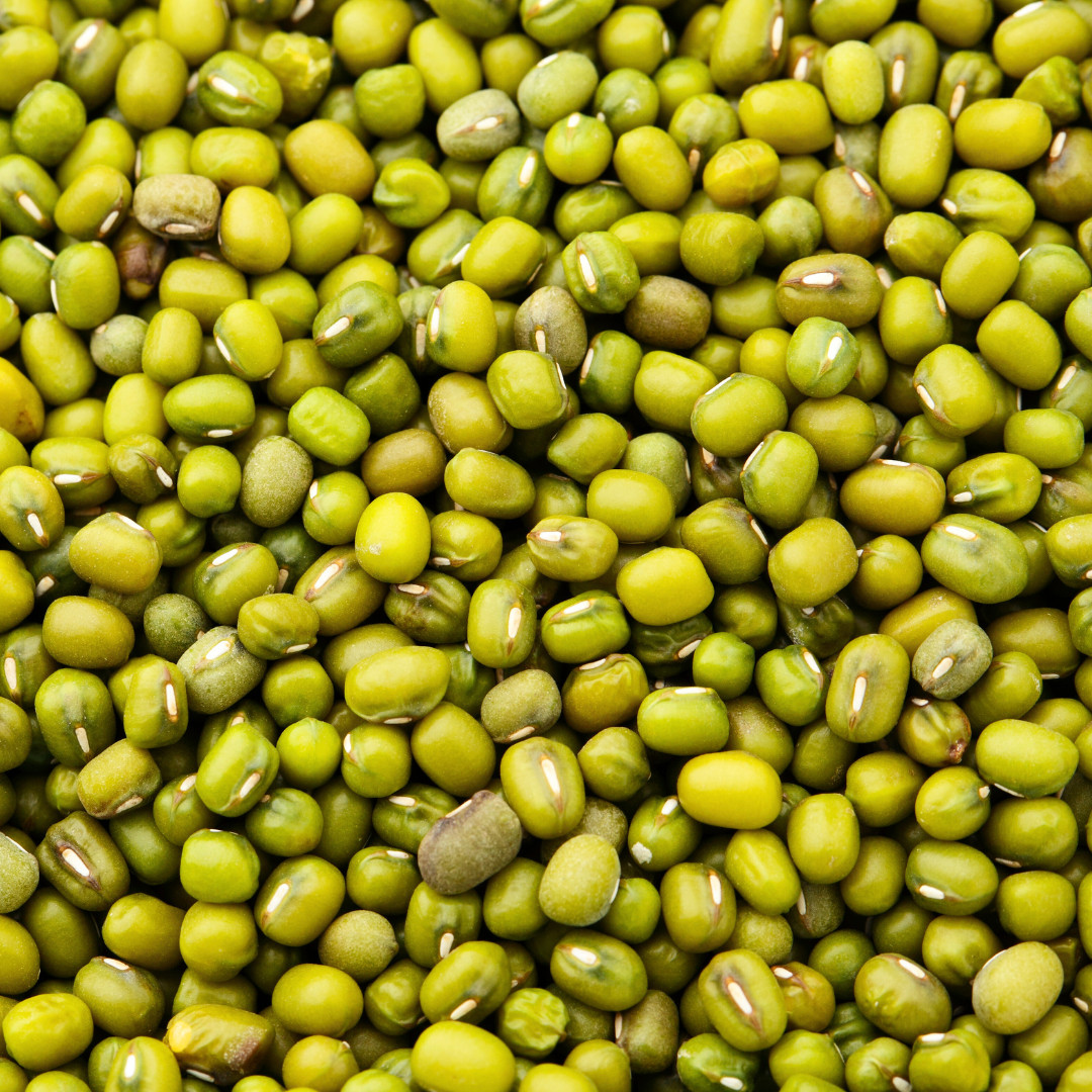 Fresh Green Gram Seeds | Moong | Mung Bean | Heirloom Non-GMO | Asian Vegetables