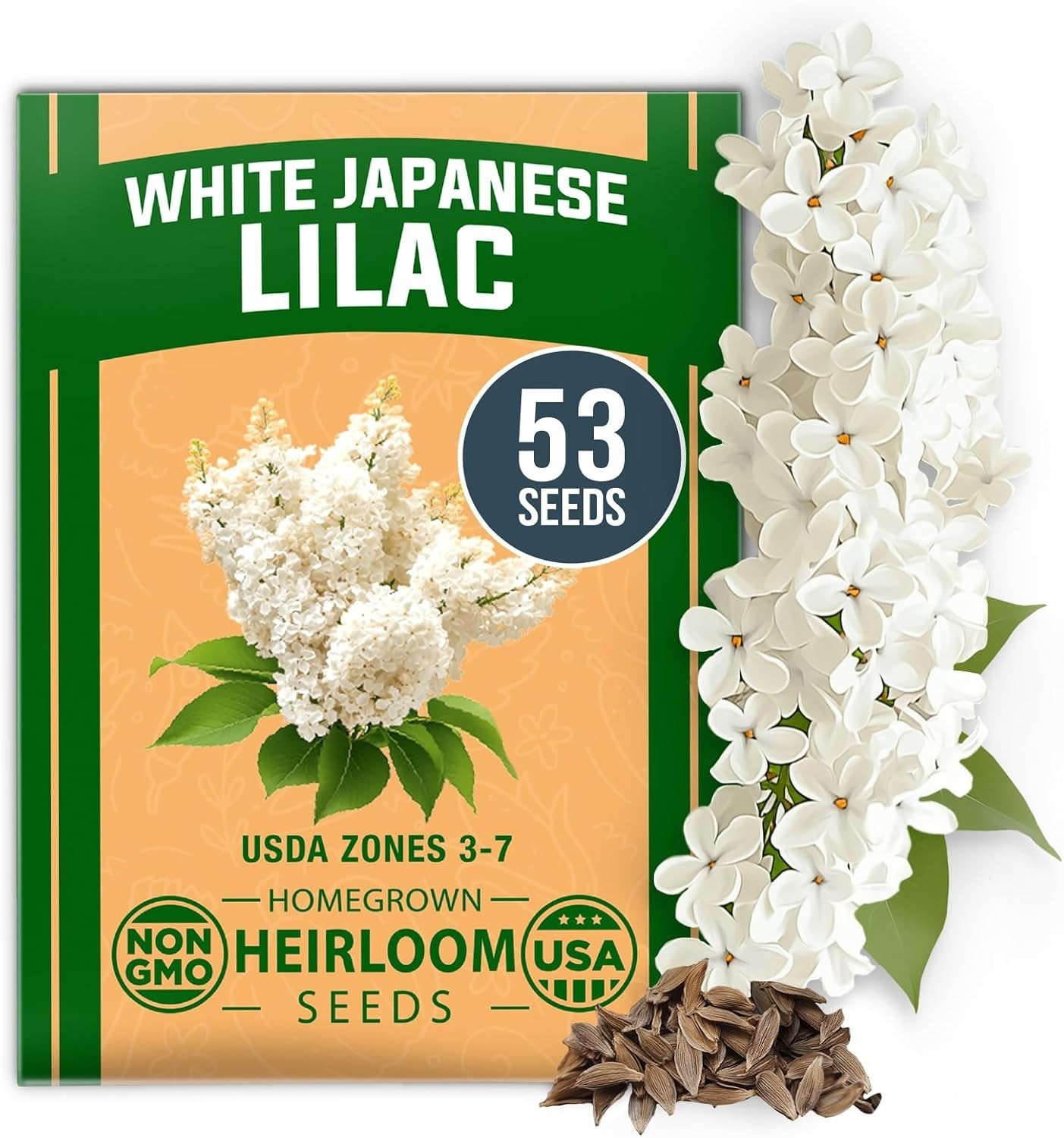 11,500+ Heirloom Lettuce Seeds – 10 Varieties Including Romaine, Buttercrunch, I