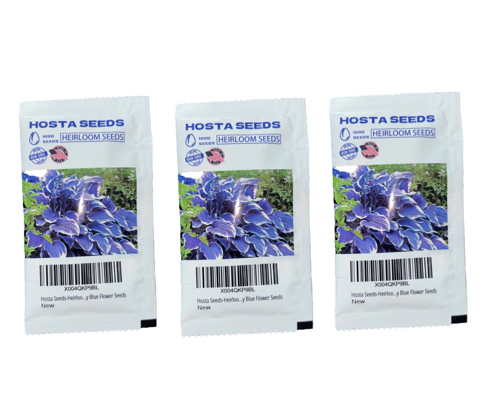 3,000 Heirloom Seeds BLUE HOSTA NON GMO Garden Perennials ZONE 3-9 3 Packets Blu