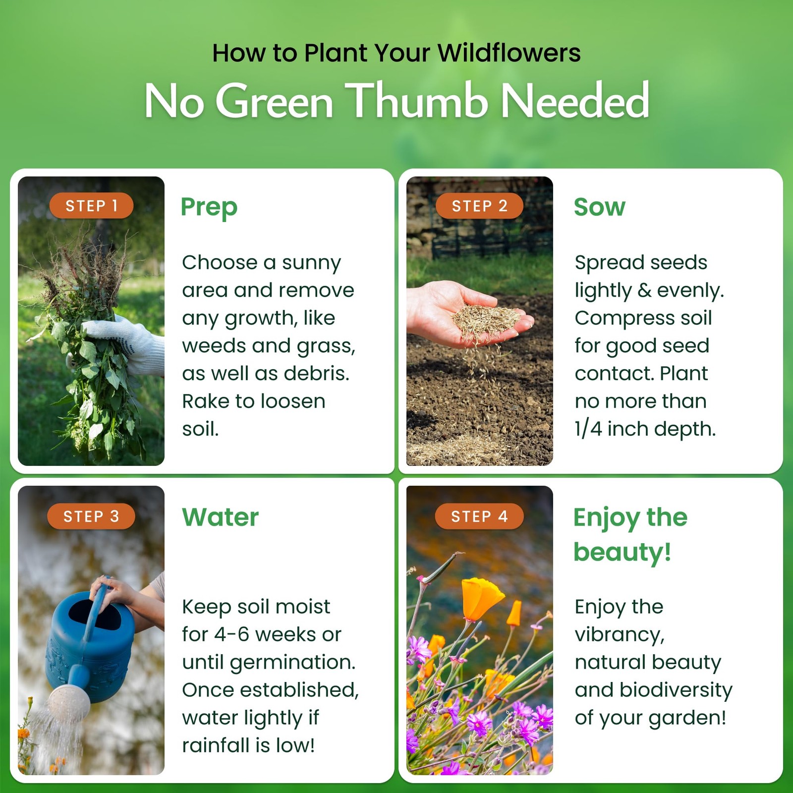 Created By Nature Nevada Wildflower Seed Mix, 14 Flower Varieties, 30,000 Seeds
