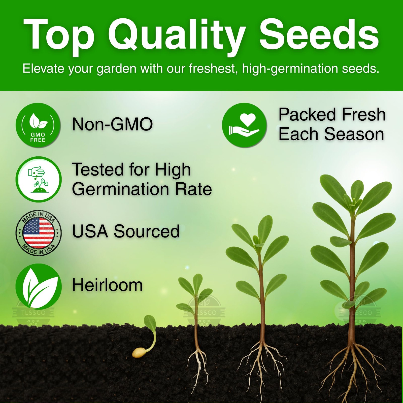 3000+ NonGMO Green Purslane Seeds FastGrowing, HighYielding Variety