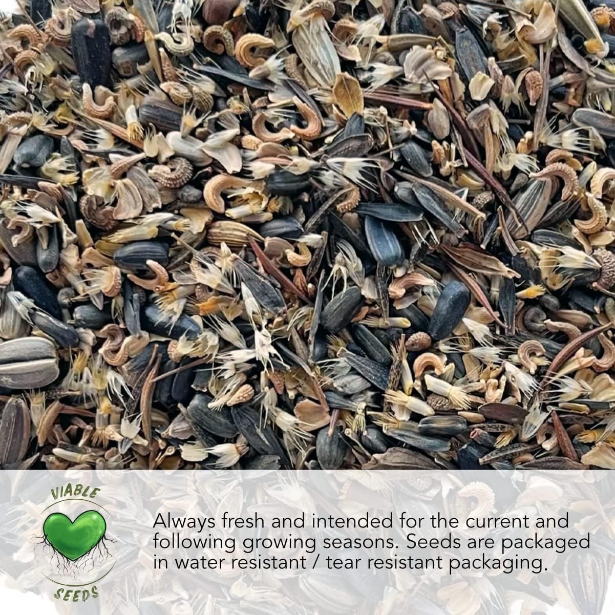 Grow Your Own Heirloom Indoor Herb Garden with 5 Fresh Non-GMO Seed Varieties