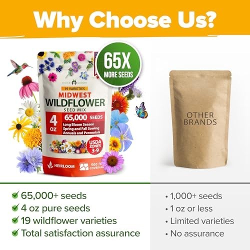 65,000+ Heirloom Wildflower Seeds Mix for Bees, Birds & Butterflies – 4 oz