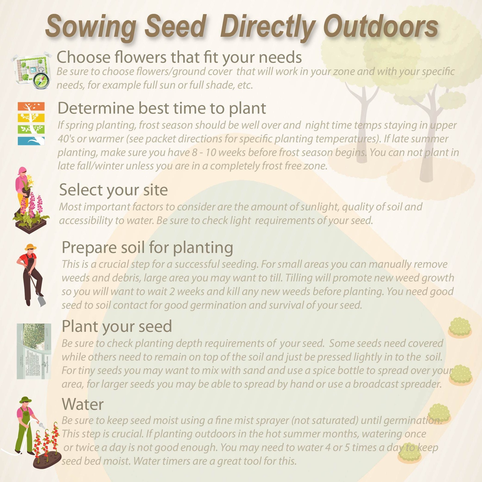 Daikon Radish Seeds – Soil Health, Erosion Control, Cover Crops, and Gardens