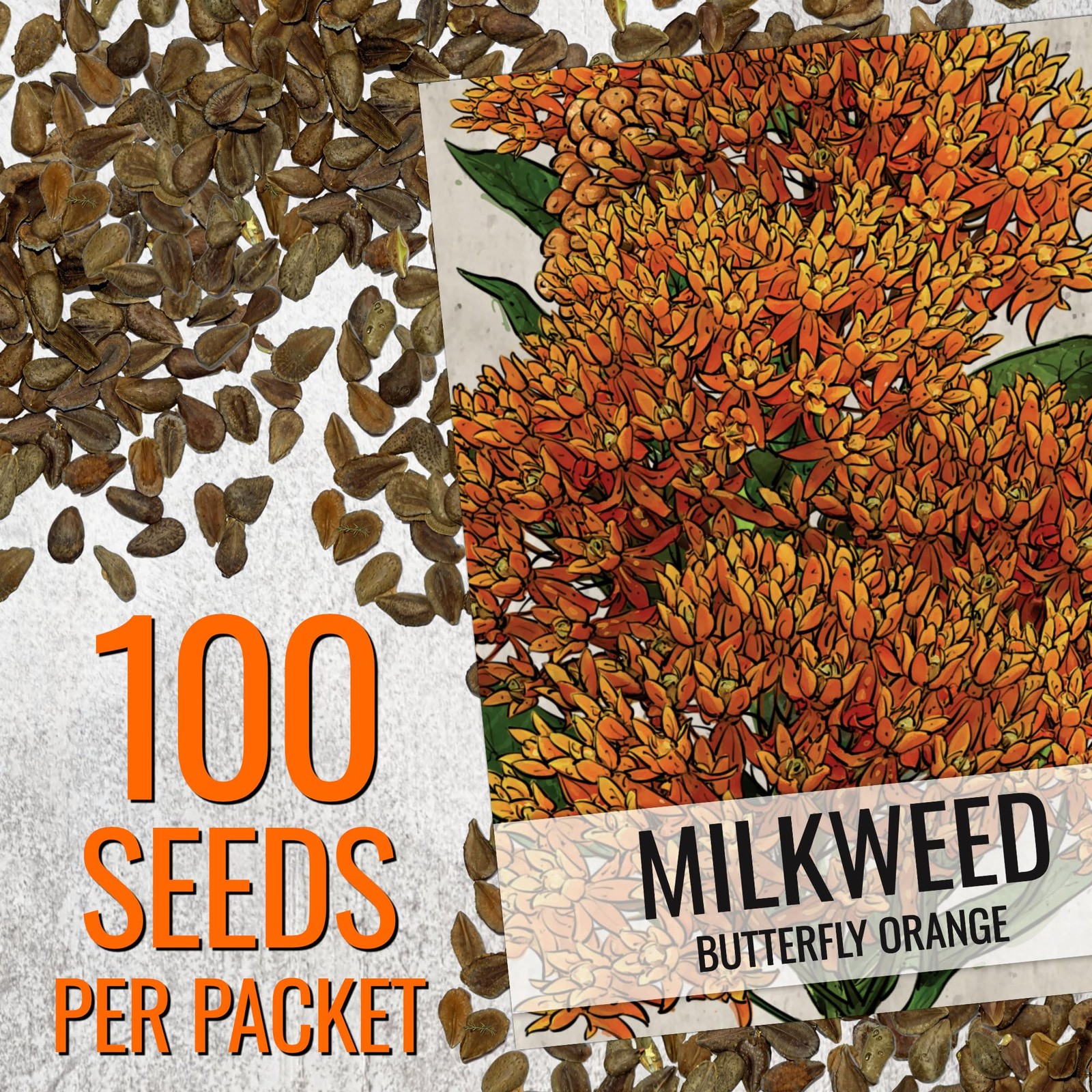 Seed Needs Orange Butterfly Milkweed Seeds for Monarch Butterflies 2 Packs