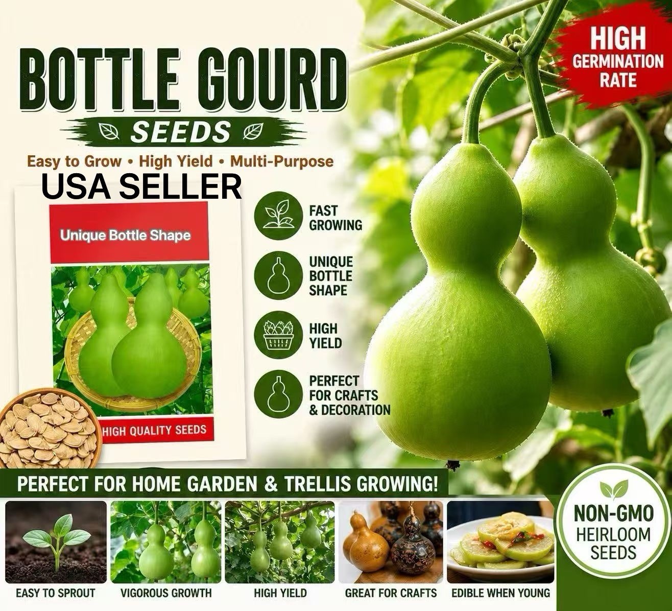35CT Bottle Gourd Birdhouse Craft Calabash Asian Buddha Squash Vegetable Seeds