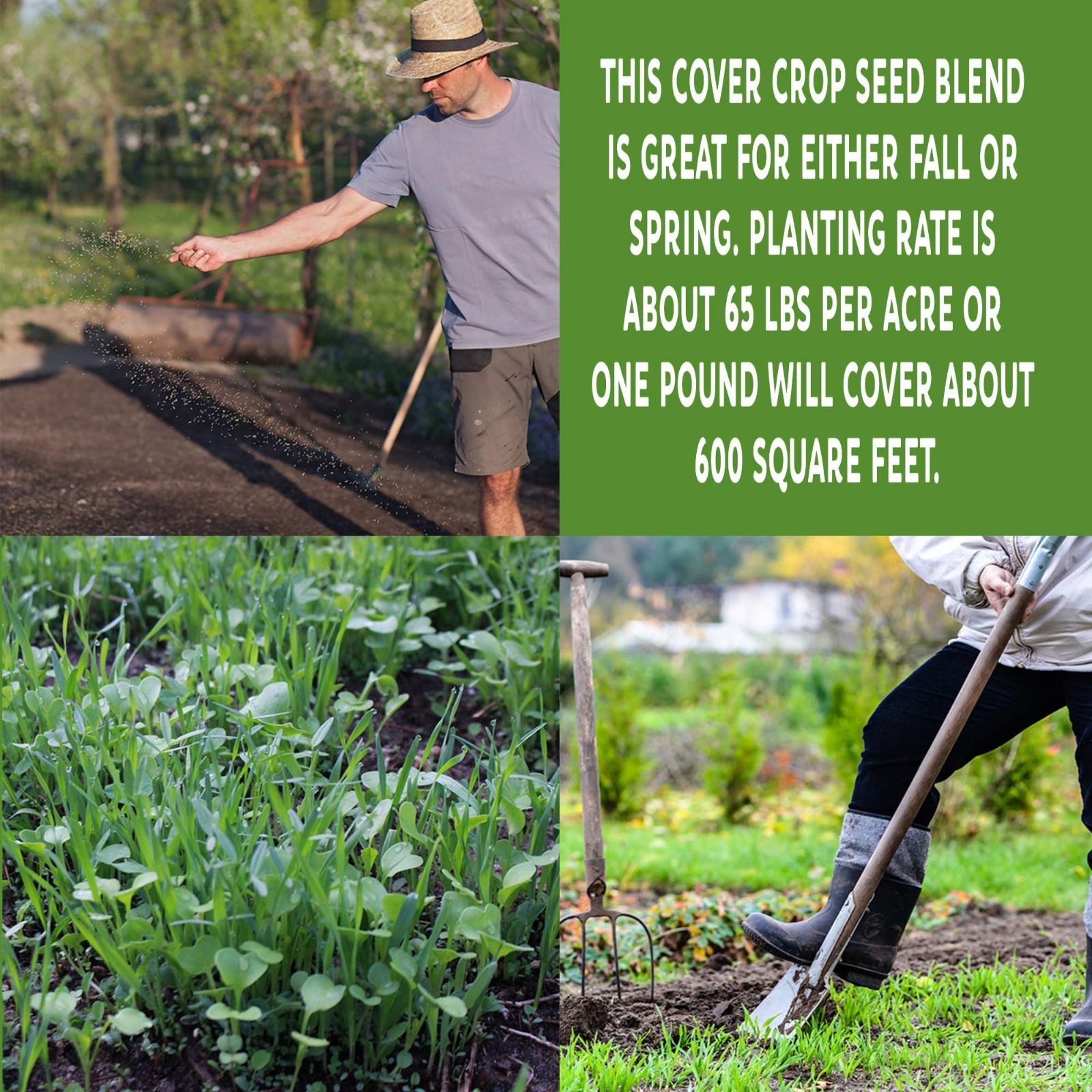 No-Till Garden Cover Crop Seeds Mix – 5 Lbs – Hairy Vetch, Daikon Radish & More