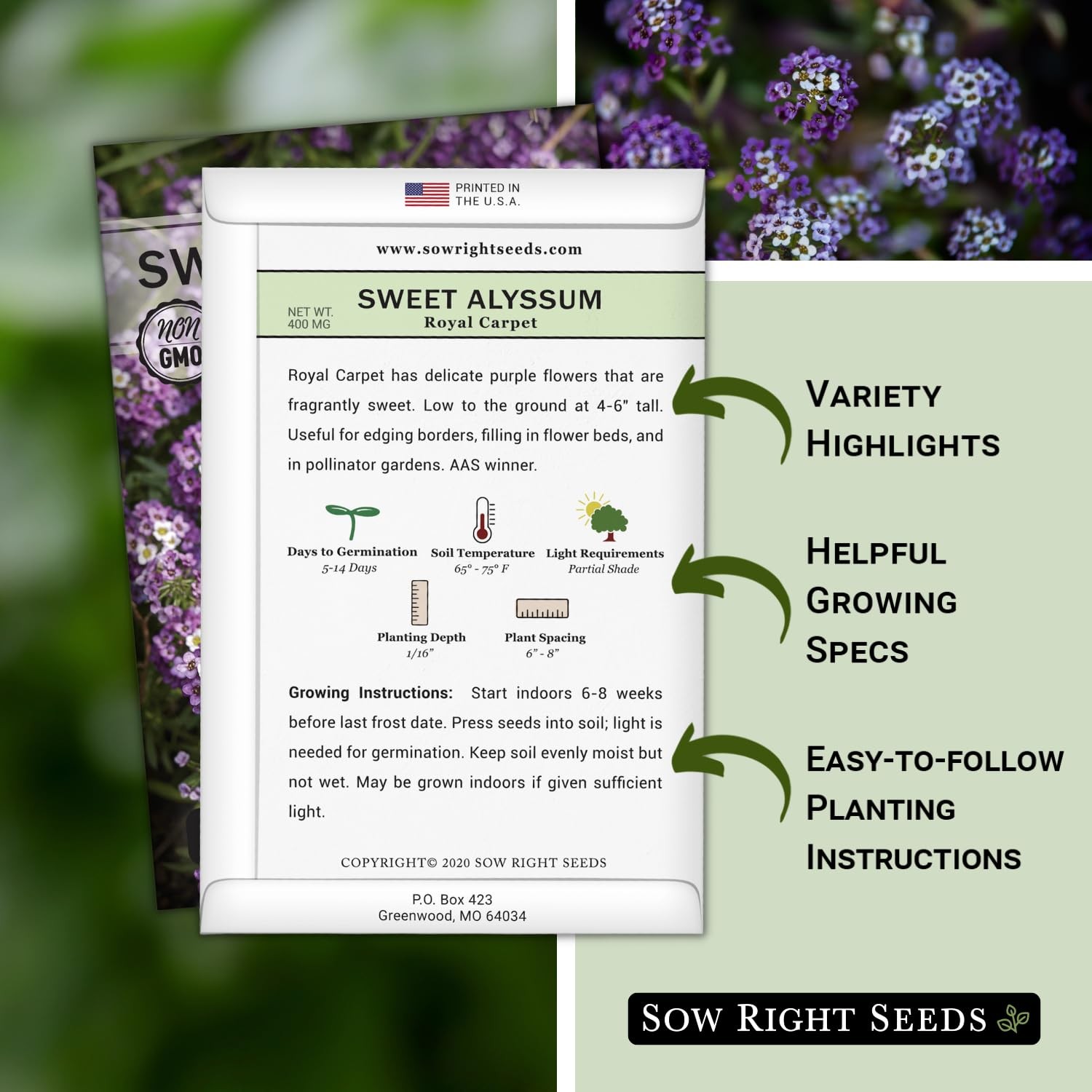 Royal Carpet Sweet Alyssum Seeds NonGMO Perennial Groundcover for Gardens
