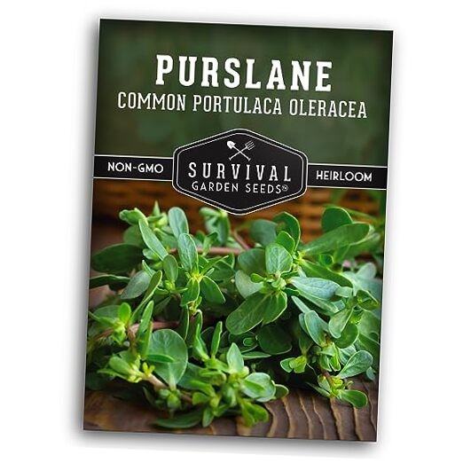 Purslane Seeds for Planting – Edible Green Portulaca Oleracea Verdolagas 1