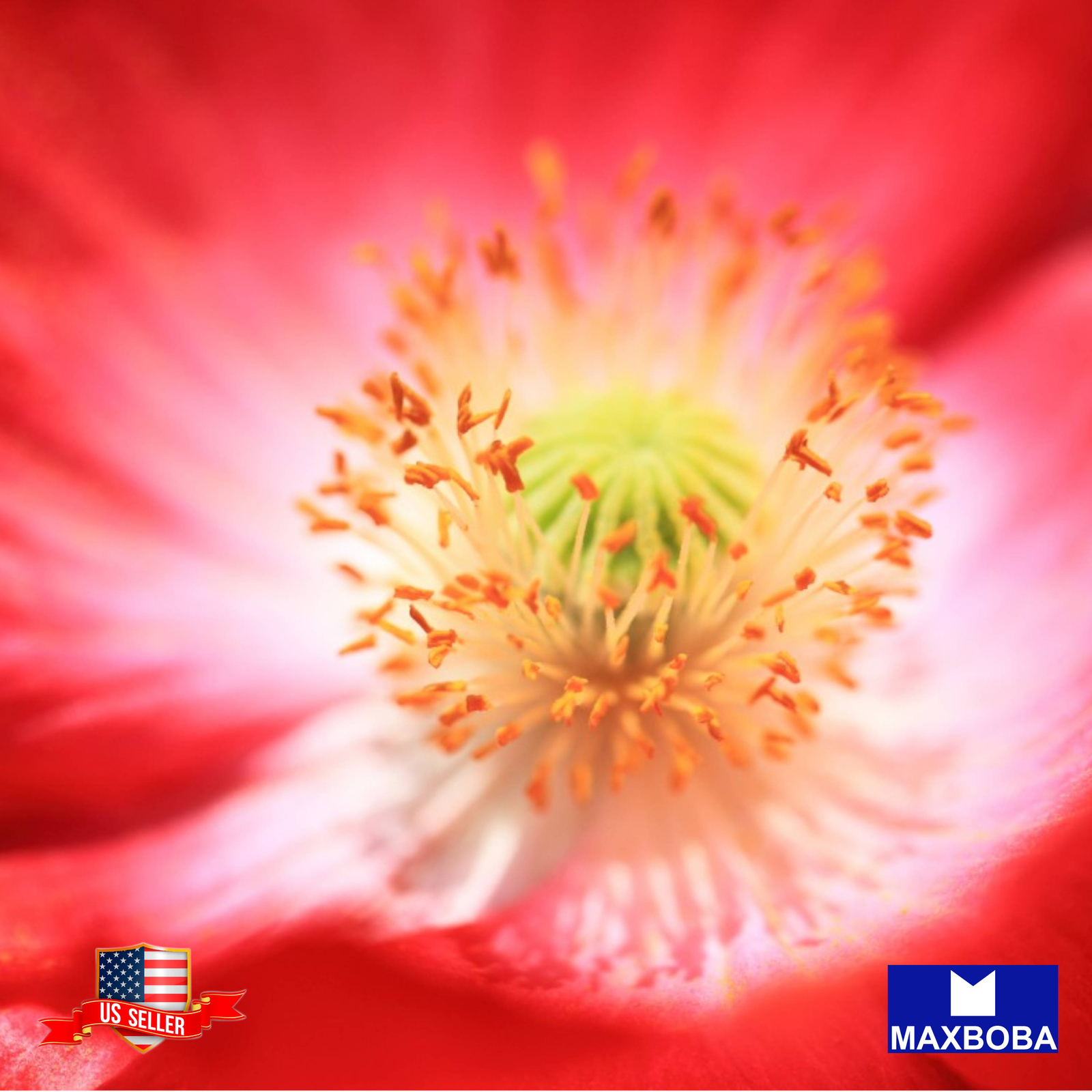 Shirley Poppy Seeds Double Mixed Non-GMO