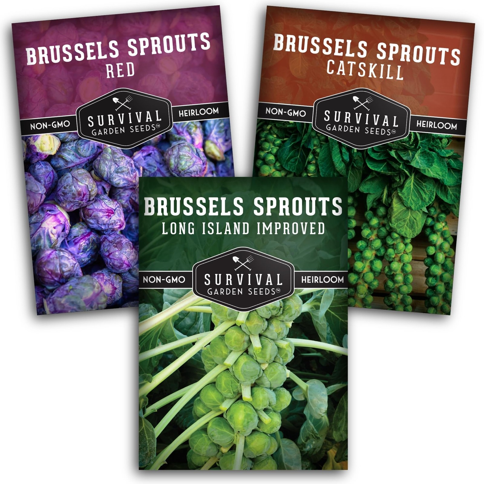 Brussels Sprouts Seeds Variety Pack – Heirloom Cool Season Vegetable Seeds