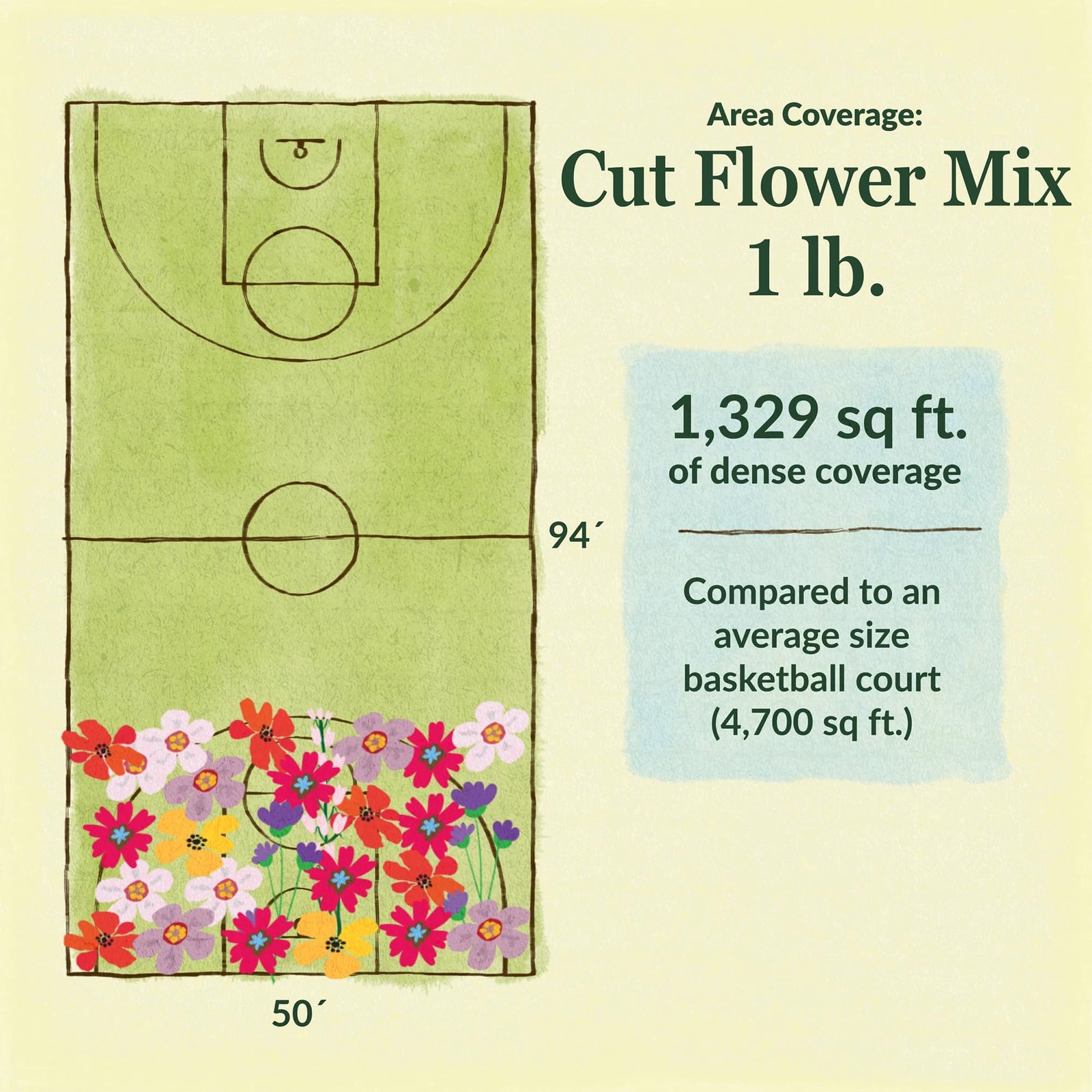 Bulk Wildflower Seeds Cut Flower Mix 1lb Pack for Garden Planting