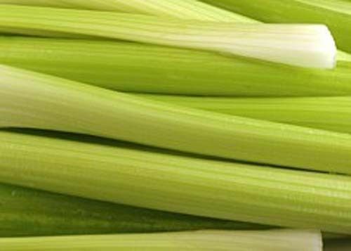 Celery Golden Pascal Heirloom Vegetable By Seed Kingdom 3,000 Seeds