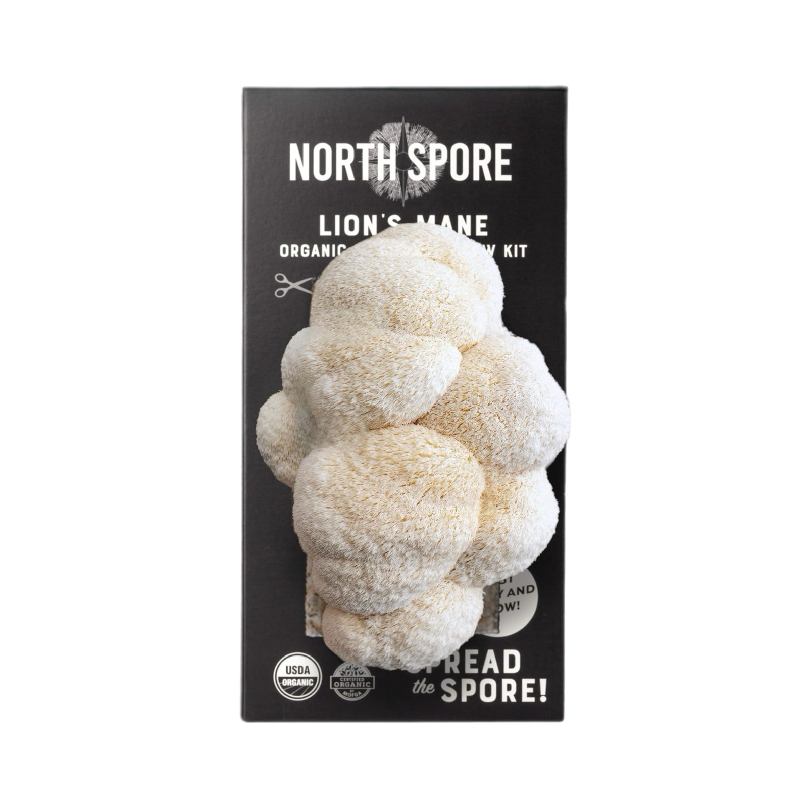 Organic Lion’s Mane Mushroom Spray & Grow Kit (4 lbs) | USDA-Certified Organi…