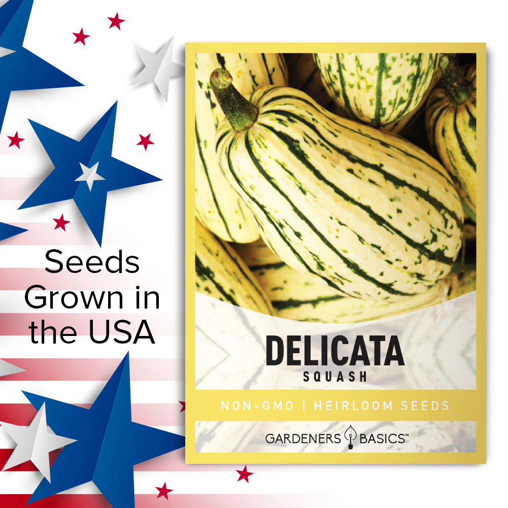 Delicata Squash Seeds