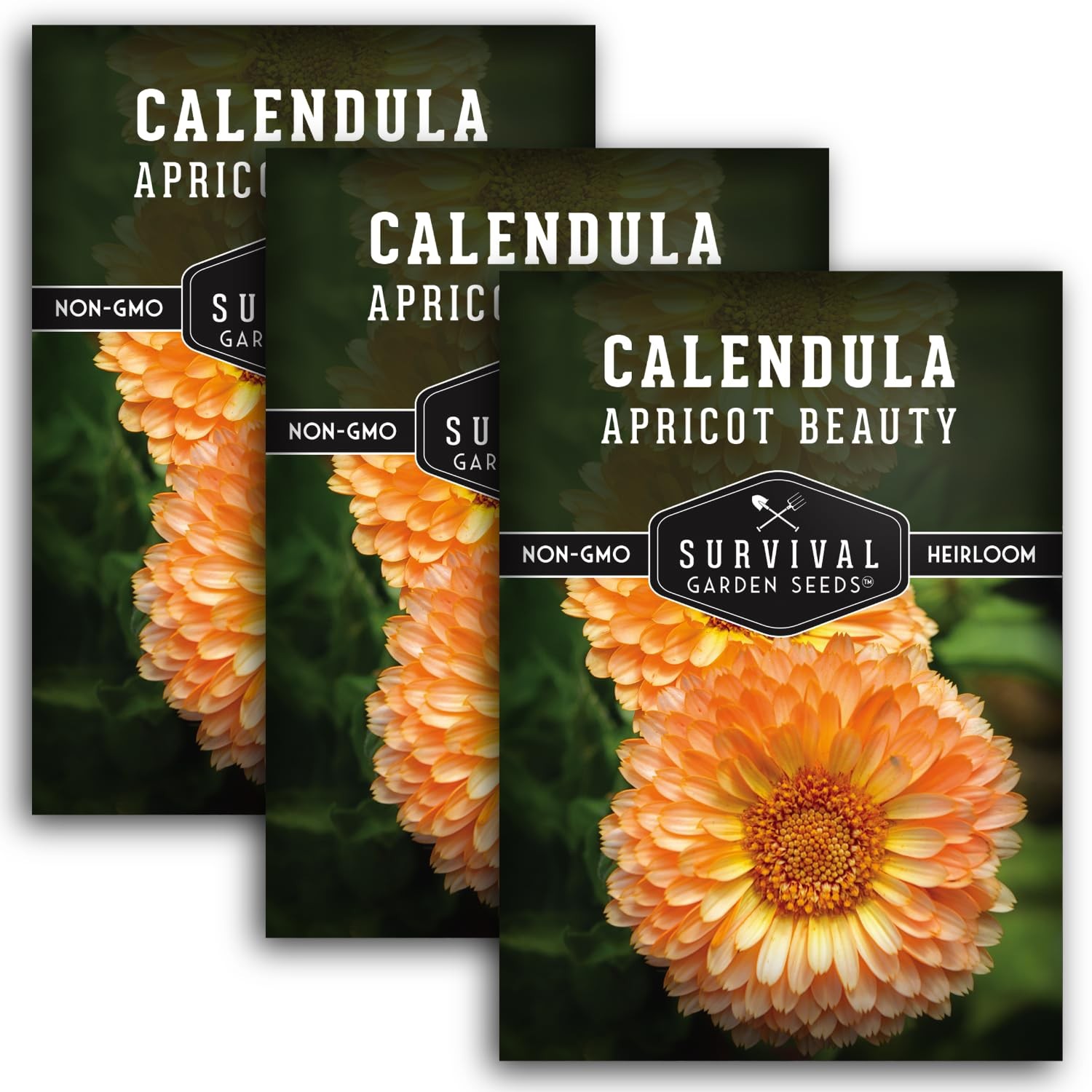 Heirloom Calendula Seeds – Edible Flower for Survival Garden – 3 Packs