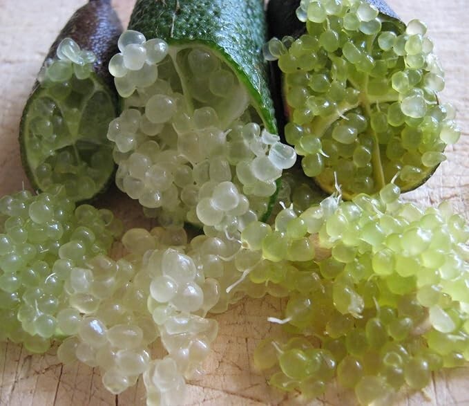 Finger Limes aka Citrus Caviar (80 grams)