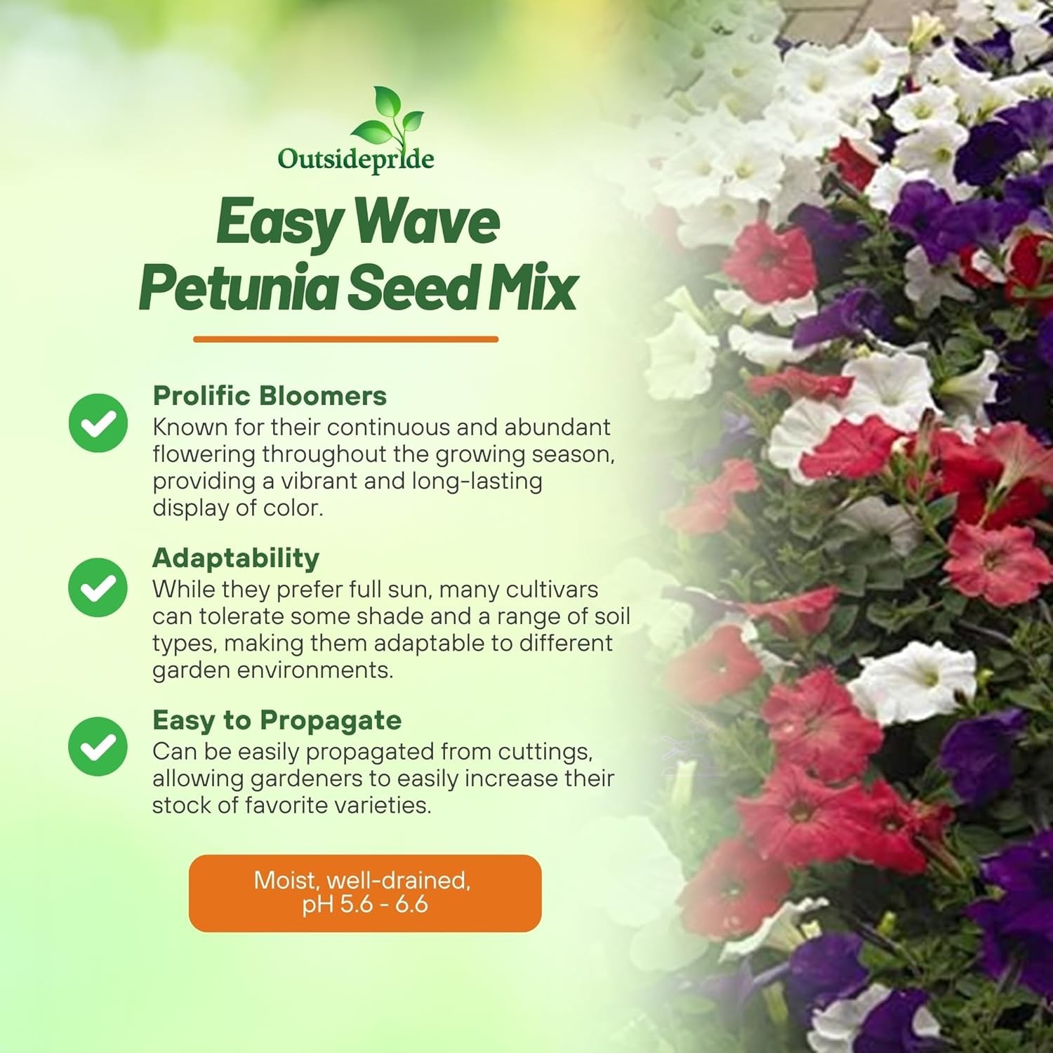 15 Seeds Spreading Petunia Seed Mix For Planting – Easy Wave Flower Seed
