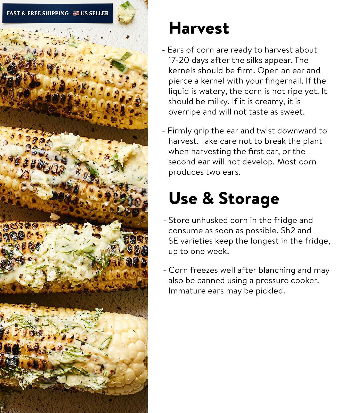 Burpee Golden Bantam Sweet Corn Seeds 200 seeds 200 Seeds,