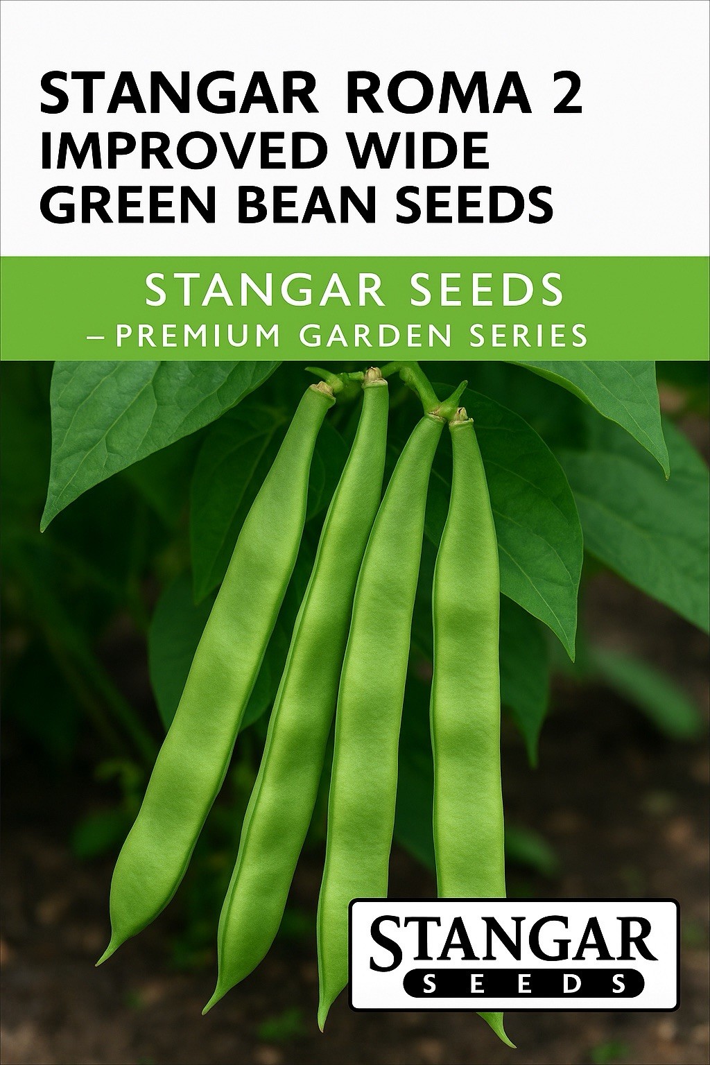 Roma II Bush Green Bean, Italian Green Beans 50 Seeds