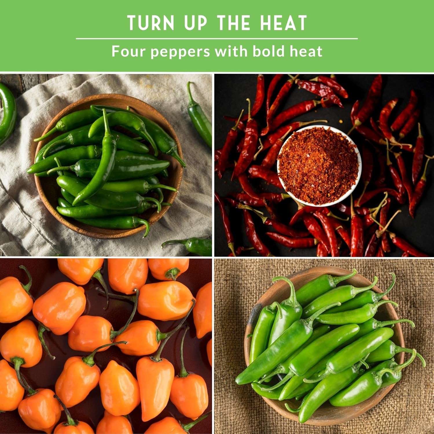Hot Pepper Seeds Variety Pack 4 Varieties Jalapeno Serrano Cayenne Pepper