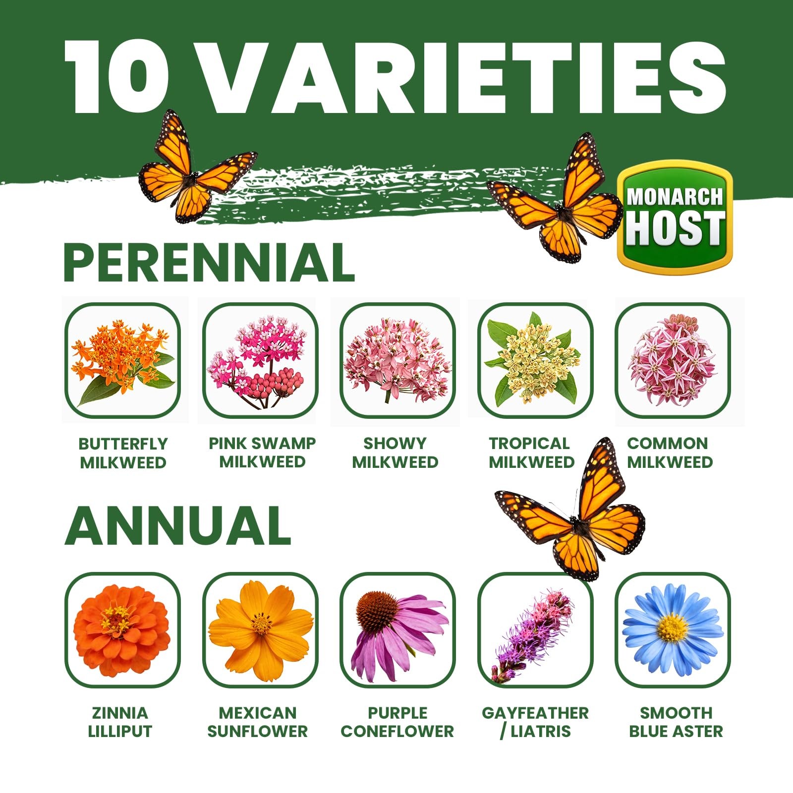 Milkweed Seeds for Monarchs – 18000+ Wildflower Seeds, Attract Pollinators