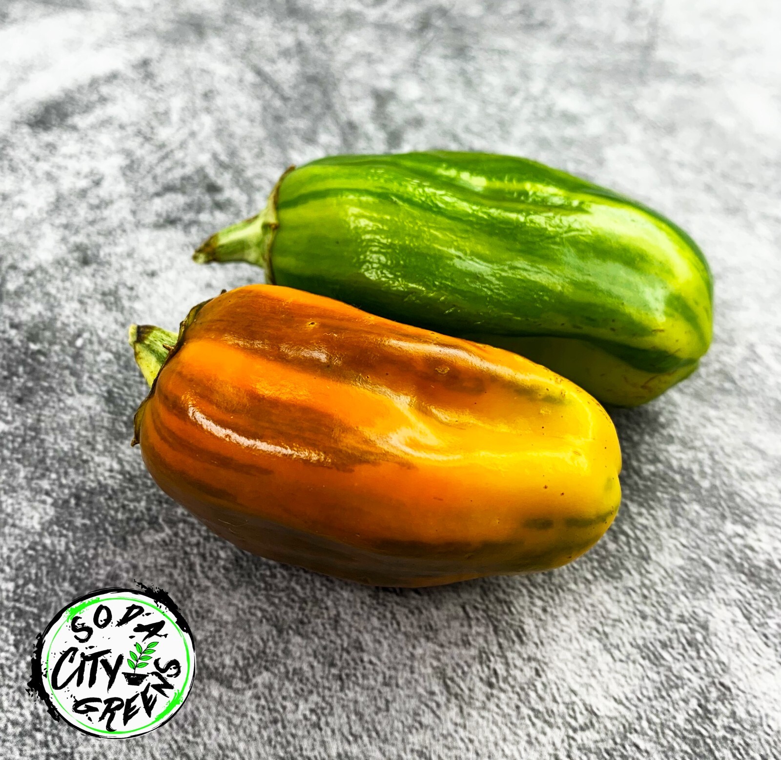 Candy Candy Variegated Sweet Pepper Seeds 10+