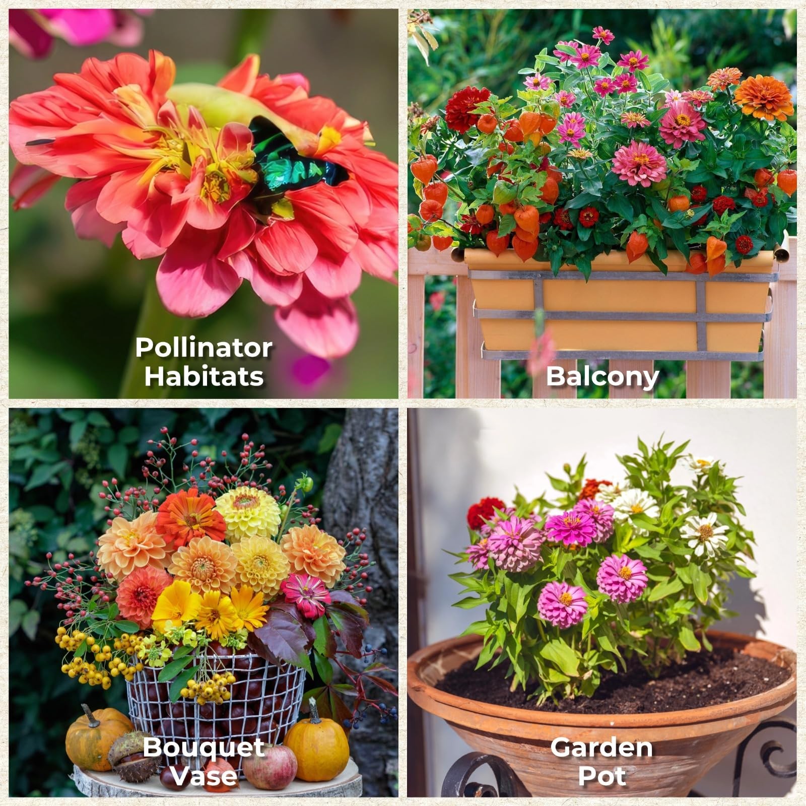 16000+ Zinnia Flower Seeds for 2026-7+ Color Mix, High Germination 4oz
