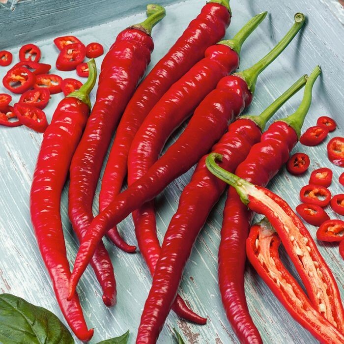 Long Slim Cayenne Hot Pepper Seeds | NON-GMO | Heirloom | Fresh Garden Seeds