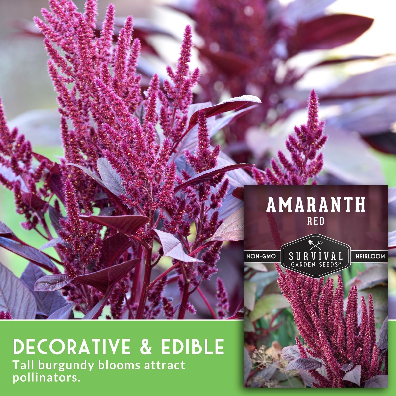Red Amaranth Seeds Fast Growing Edible Greens for Garden or Microgreens 5