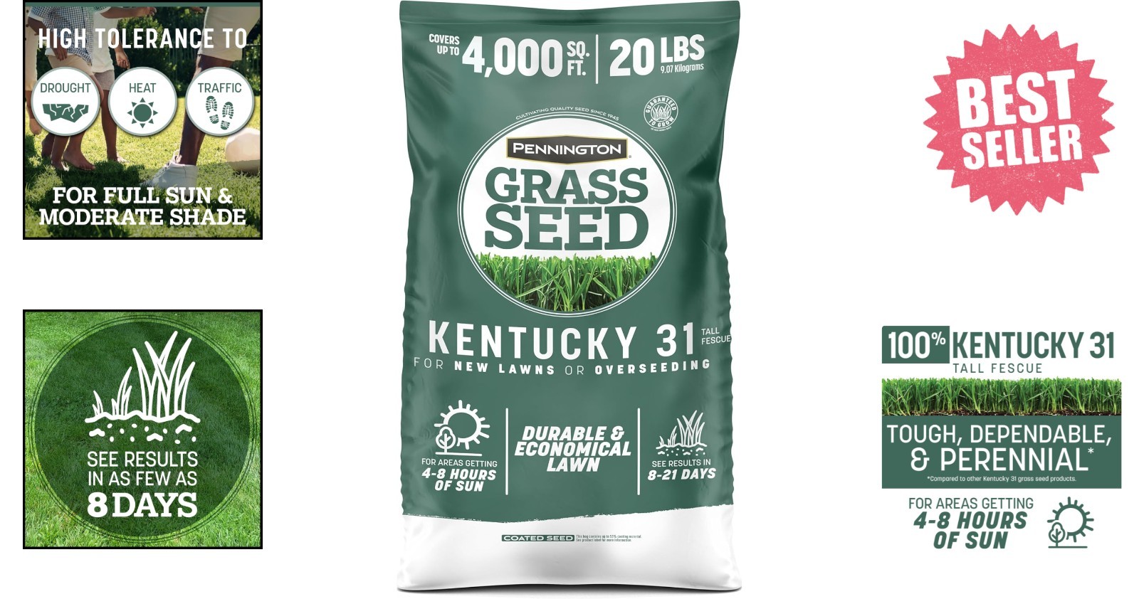 Eco-Friendly Kentucky 31 Tall Fescue Grass Seed – 20 lb for Sustainable Lawns