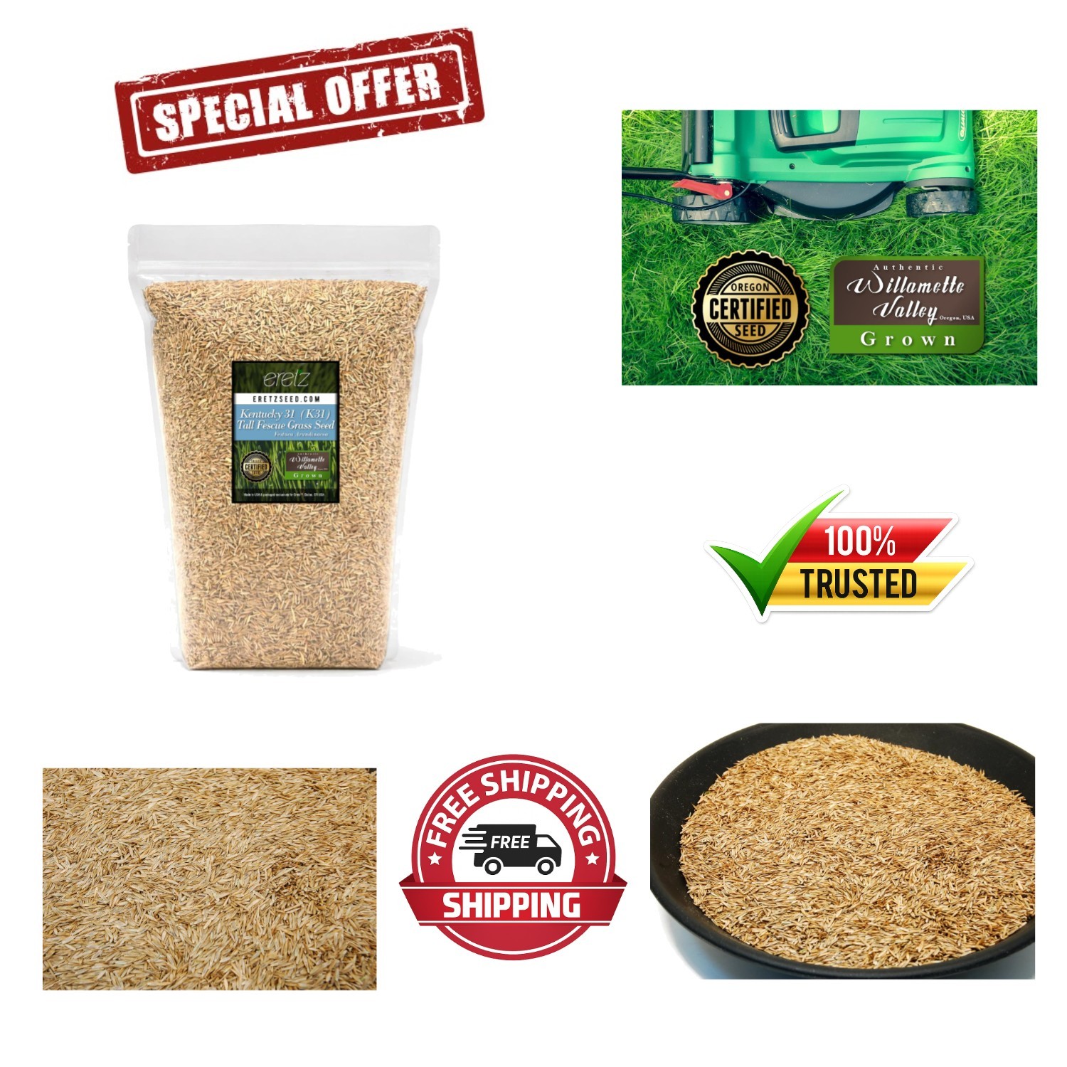 Durable Kentucky 31 Tall Fescue Grass Seed – For Heavy Traffic Areas 3lbs