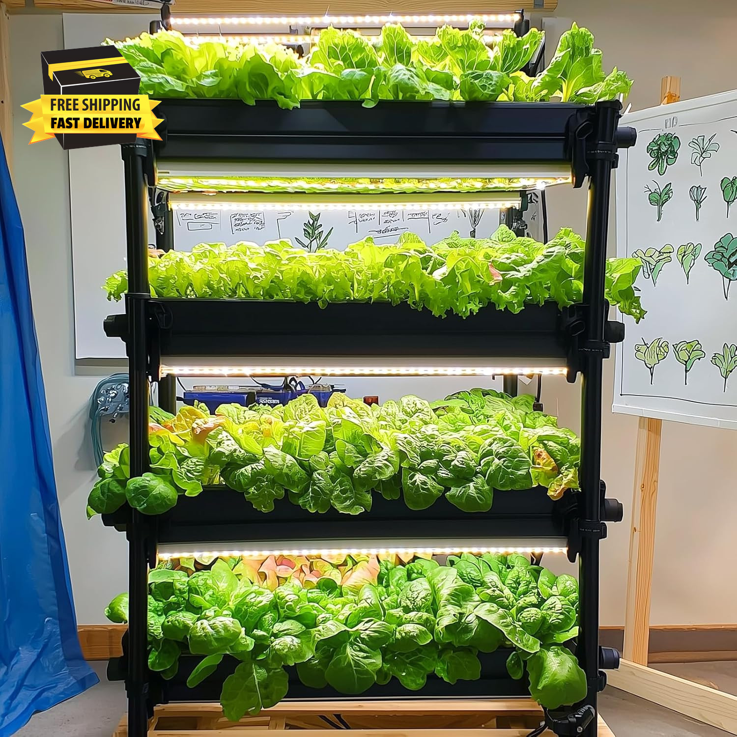 20,000+ Lettuce Seeds, Heirloom Vegetable Seed for Planting Indoor Outdoor, 10 V