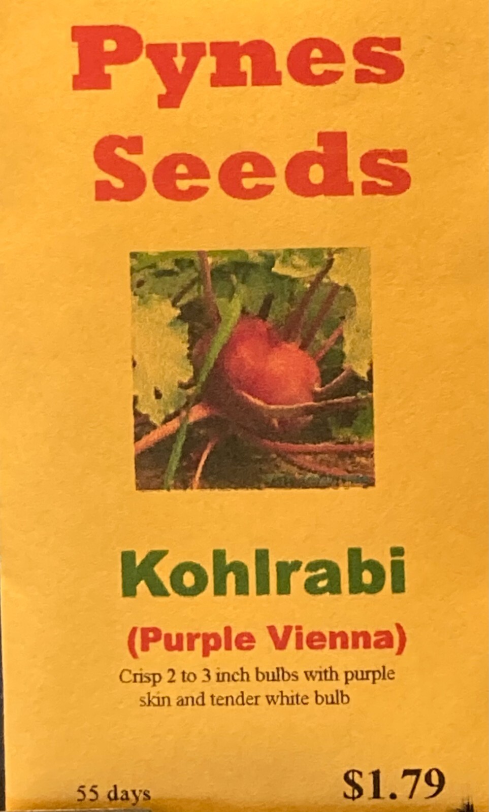 Kohlrabi Seeds 300+, Purple Vienna, Heirloom, Open Polli, NON-GMO, FREE SHIPPING