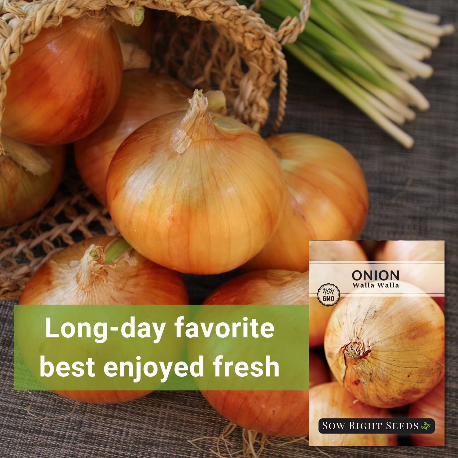 Sow Right Seeds – Walla Walla Onion Seeds for Planting – High Yield, Non-Gmo Hei