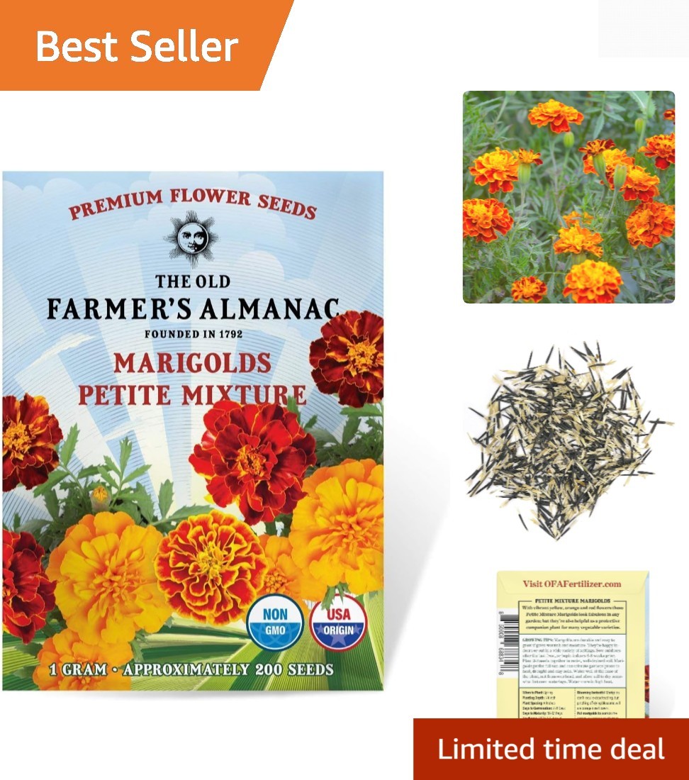 Petite Mixture Marigold Seeds – Non-GMO, Attracts Pollinators, 200 Count