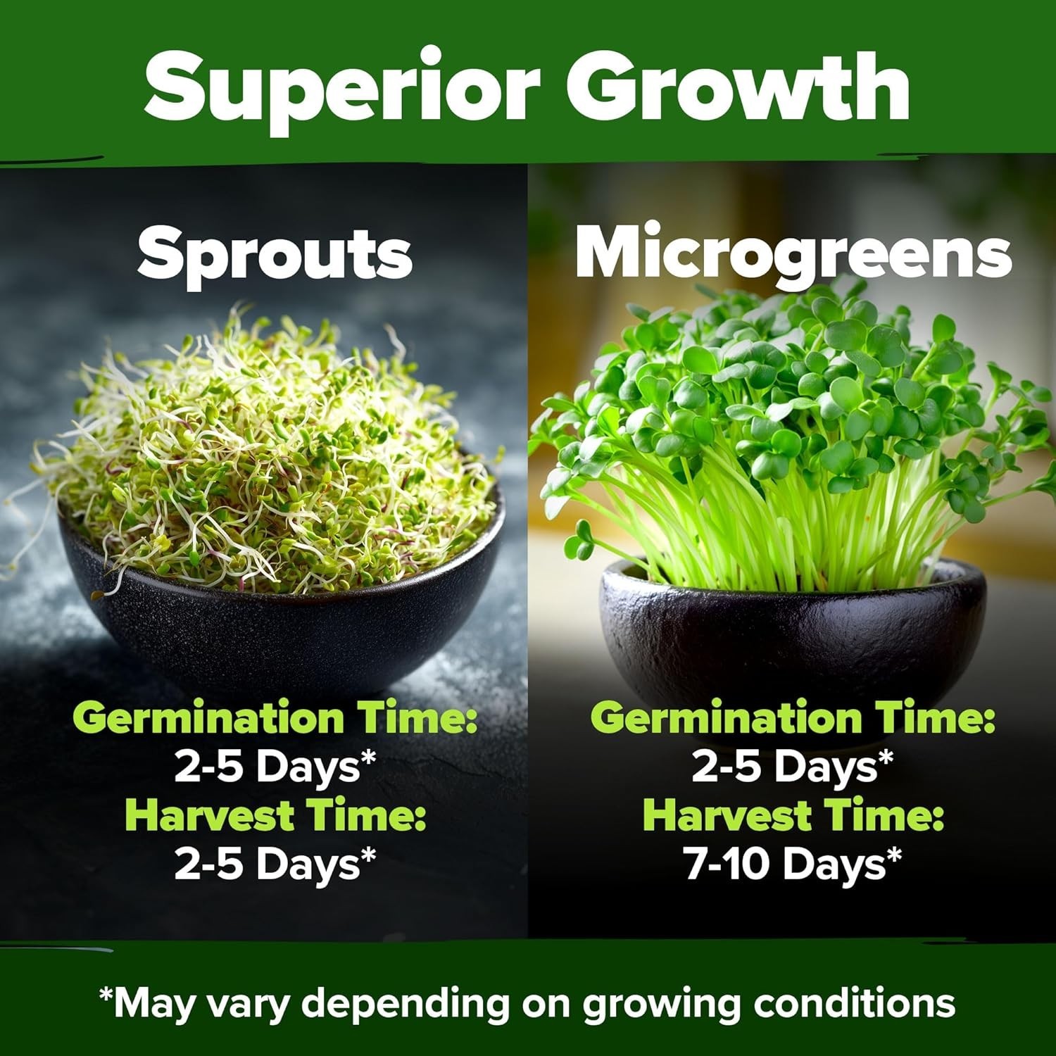 Sprouting Seeds Mix – Microgreens 118,200 Seeds for Indoor Growing – Non-GMO …