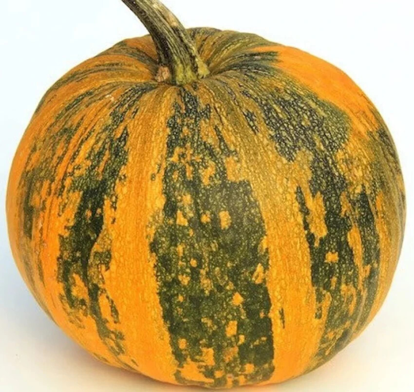 Pepitas Pumpkin Seeds (30) / ORGANIC / FLORIDA GROWN/ ORGANIC