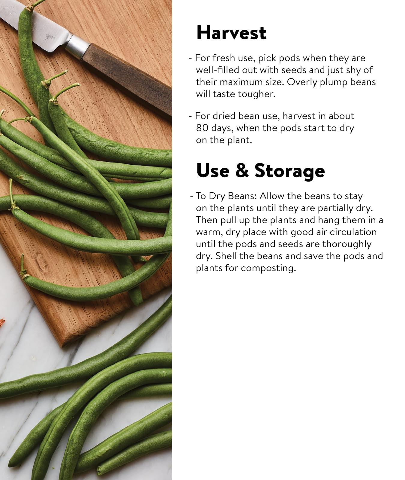 Burpee Kentucky Blue Pole Bean Seeds 8 ounces of seed 8 oz,