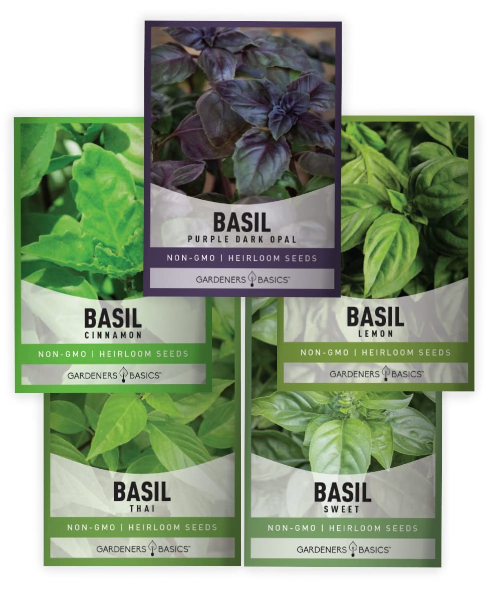 , Basil Seeds for Planting Home Garden Herbs – 5 Variety Herb Pack Thai, Lemo…