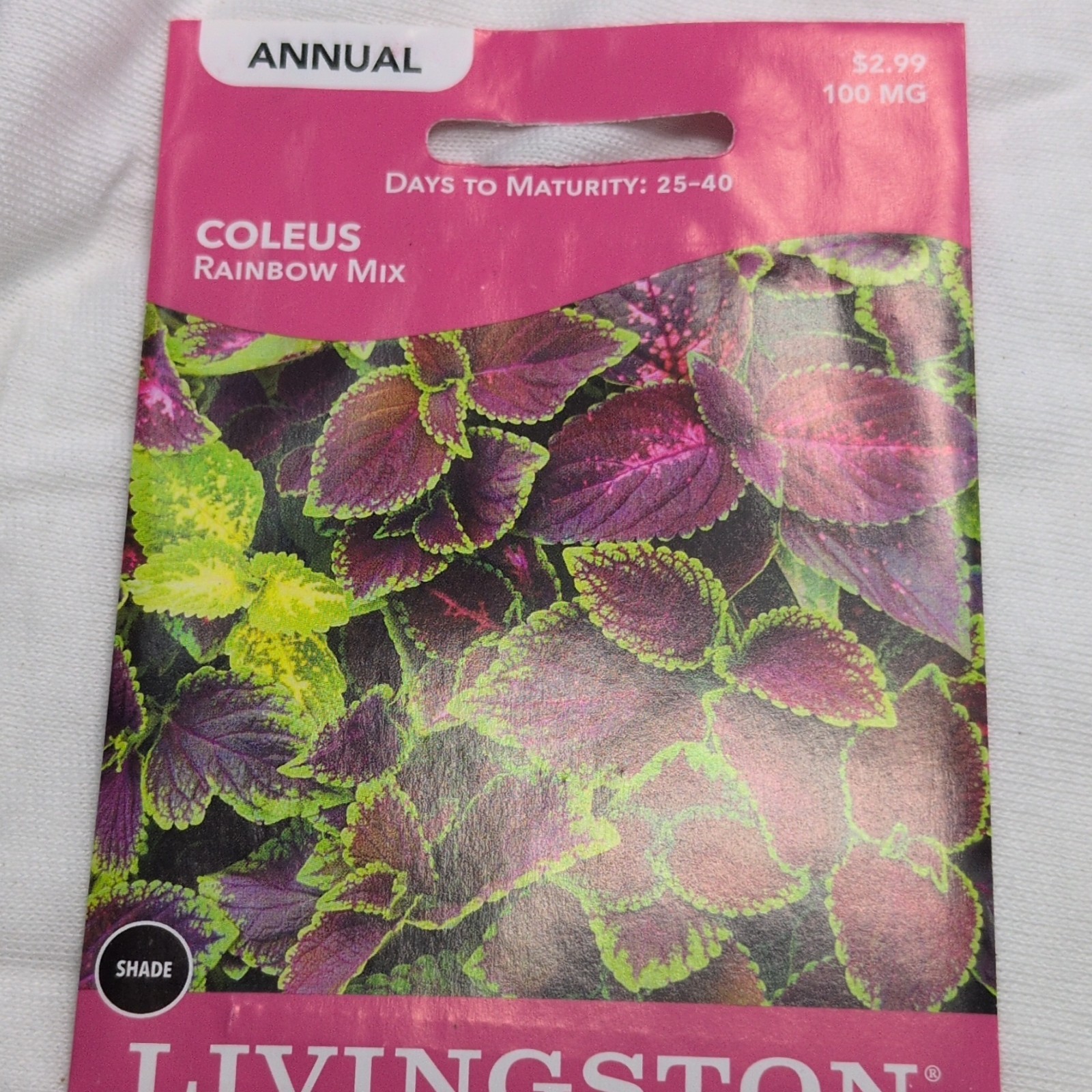 Livingston Coleus Rainbow Mix Annual Multicolor Shade Houseplant Seeds